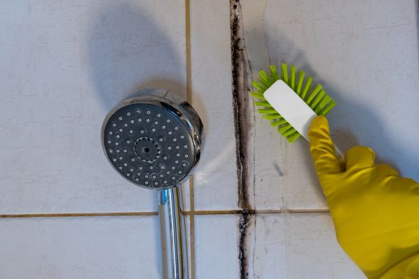 Tile and Grout Mold Removal